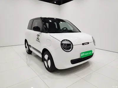 2023 Changan Qiyuan Changan Lumin Model 301km Honey Edition, фото 3, лот 10405790