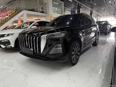 2023 Hongqi HS5 2.0T AWD Flag Enjoy Pro Edition, фото 1, лот 10288199