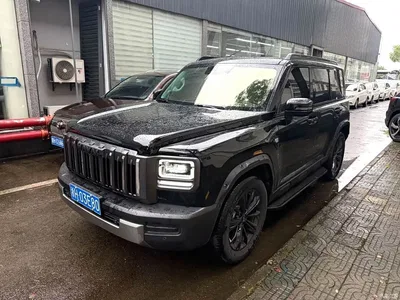 2025 Haval Menglong 2.0T 4WD Ultra, фото 1, лот 10298704