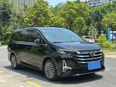 2021 GAC Trumpchi Trumpchi M6 PRO 270T DCT Premium Edition, фото 3, лот 10418437