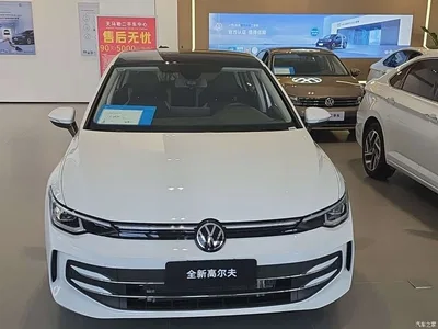 2026 Volkswagen Golf 300TSI Pro, фото 2, лот 10662368