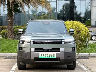 2025 Byd Titanium 7 200KM Front-Wheel Drive Max Edition, фото 2, лот 10822306