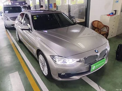 2018 BMW 3 Series 320Li Fashion Style, фото 4, лот 10457756