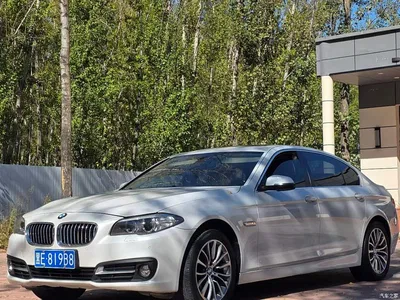 2017 BMW 5 Series 520Li Classic Edition, фото 1, лот 11547764