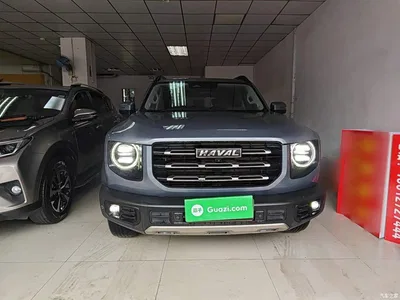 2022 Haval Big Dog 1.5T DCT FWD Border Collie Edition, фото 3, лот 10361255