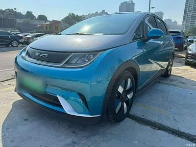 2021 BYD Dolphin 401km Knight Edition, фото 1, лот 10476088