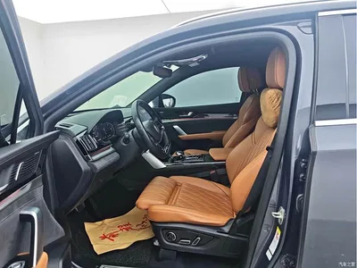 2022 BYD Tang New Energy DM-p 215KM AWD Executive, фото 4, лот 10273203