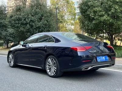 2020 Mercedes-Benz CLS 300 Dynamic, фото 3, лот 10300848