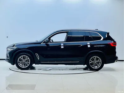 2020 BMW X5 New Energy(Imported) xDrive45e M Sport Package, фото 3, лот 11101844