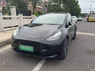 2023 Tesla Model Y Rear-Wheel Drive Edition, фото 1, лот 10461018