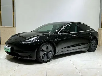 2020 Tesla Model 3 Standard Range Rear-Wheel Drive Upgrade, фото 1, лот 11579510