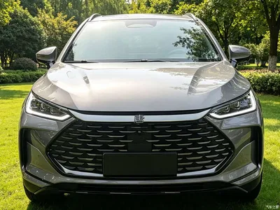 2025 BYD Tang New Energy Smart Driving Edition DM-i 115KM Flagship, фото 2, лот 10273268