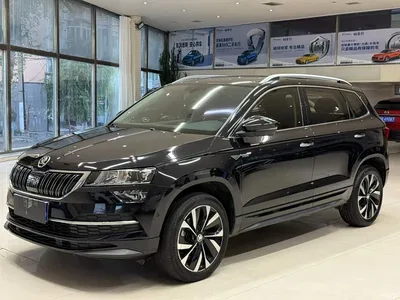2022 Škoda Karoq TSI280 Smart Brilliance Edition, фото 1, лот 10393042