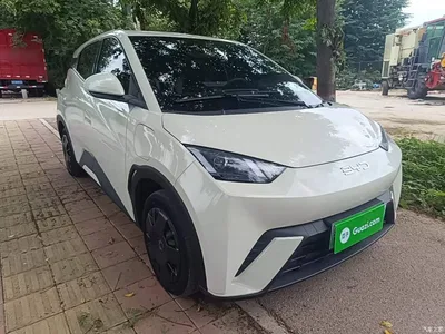 2024 BYD Seagull Glory Edition 305km Vitality Edition, фото 4, лот 10260018
