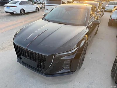 2025 Hongqi H5 1.5T DCT Mystic Shadow, фото 1, лот 11571382
