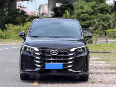 2023 GAC Trumpchi Trumpchi M6 PRO 270T DCT Luxury Edition, фото 2, лот 10416403