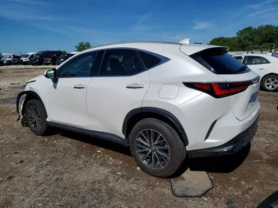 2024 LEXUS NX 350 BASE, фото 2, лот 10899937