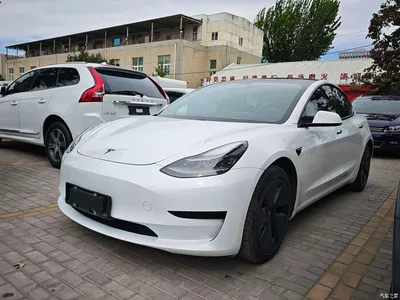 2021 Tesla Model 3 Standard Range Rear-Wheel Drive Upgrade 3D6, фото 1, лот 11243086