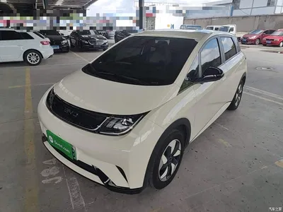 2025 BYD Dolphin 420km Freedom Edition, фото 2, лот 10260332