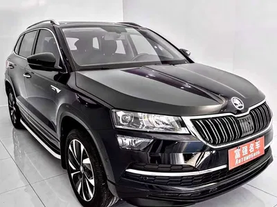 2023 Škoda Karoq TSI280 Luxury Edition, фото 2, лот 10348503
