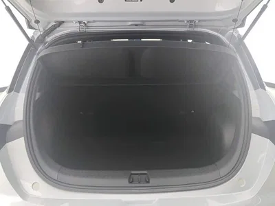 2021 BYD Dolphin Model 405km Fashion Edition, фото 4, лот 10245937