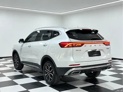 2021 Haval H6 National Trend Edition 1.5T Automatic Urban Edition, фото 4, лот 10283336