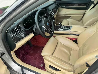 2009 BMW 7 Series 730Li Luxury, фото 4, лот 10432520