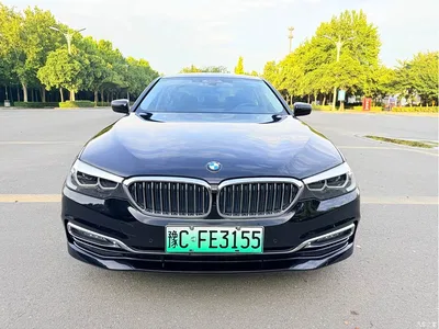 2018 BMW 5 Series New Energy 530Le Luxury Package, фото 2, лот 11195266