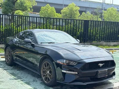 2019 Ford Mustang 2.3L EcoBoost, фото 2, лот 10298175