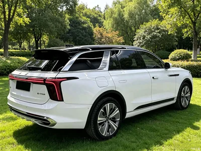 2022 Hongqi E-HS9 690km Qi Xiang Edition (6-seater), фото 4, лот 10288617