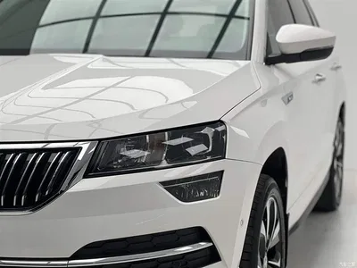 2022 Škoda Karoq TSI280 Luxury Edition, фото 4, лот 10349464