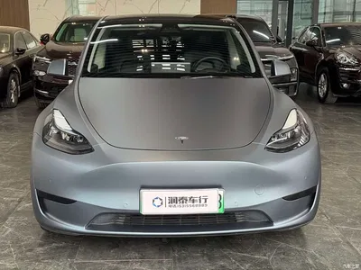 2023 Tesla Model Y Rear-Wheel Drive Edition, фото 2, лот 11489109