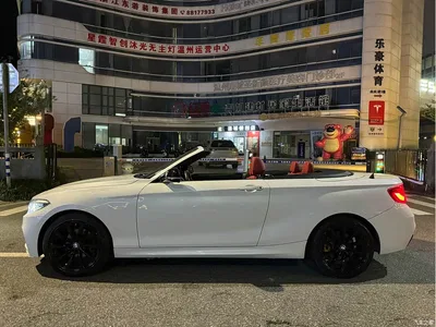 2019 BMW 2 Series (Import) 225i Convertible Coupe Exclusive M Sport Package, фото 3, лот 10402390