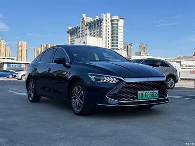 2023 BYD Qin PLUS Champion Edition DM-i 55KM Surpassing, фото 3, лот 11570381