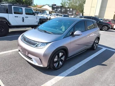 2021 BYD Dolphin 401km Knight Edition, фото 2, лот 11567956