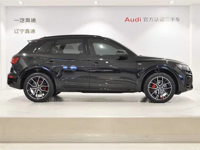 2024 Audi Q5L Model 45 TFSI Luxury Dynamic, фото 3, лот 10808357