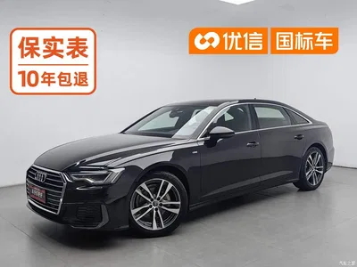 2019 Audi A6L 40 TFSI Luxury Dynamic, фото 1, лот 10391083