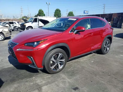2021 LEXUS NX 300H BASE, фото 1, лот 10906614
