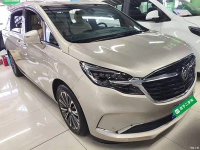 2022 Buick GL8 ES Landmark 653T Luxury, фото 4, лот 10257953