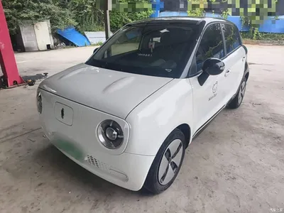2021 Ora Black Cat 301km Basic Model, фото 2, лот 10807935