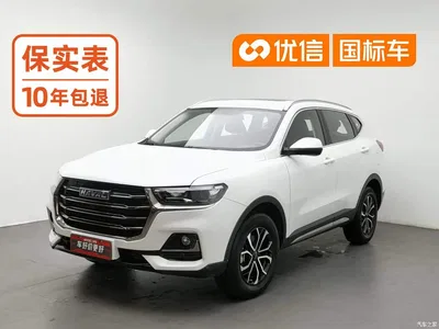 2021 Haval H6 National Trend Edition 1.5T Automatic Urban Edition, фото 1, лот 11579296