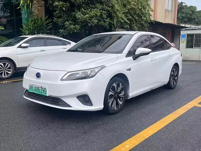 2019 Aion S Xuan 530, фото 3, лот 10240376