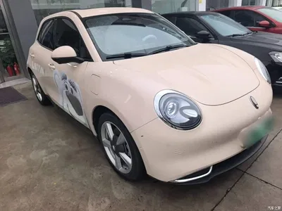 2021 Ora Good Cat 400km Standard Range Athena Edition (LFP), фото 4, лот 10690234
