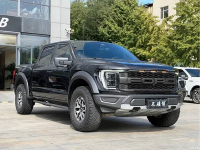 2023 Ford F-150 Raptor, фото 3, лот 11221962