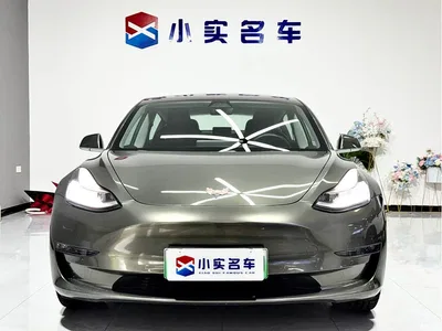 2019 Tesla Model 3 (Import) Long Range RWD Version, фото 2, лот 11408143