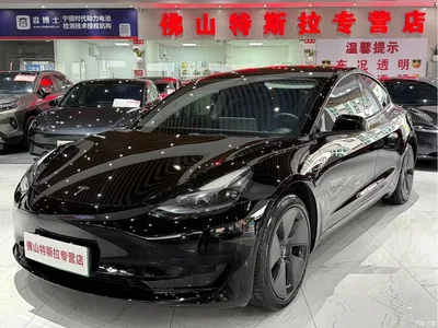 2022 Tesla Model 3 Model Rear-Wheel Drive Version, фото 1, лот 10352850