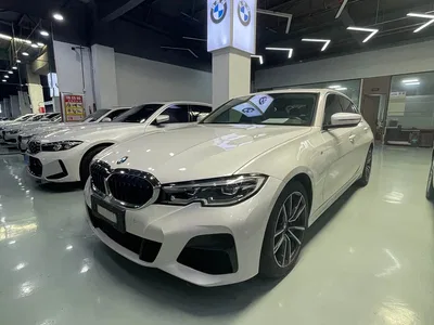 2021 BMW 3 Series Facelift 320Li M Sport Package, фото 1, лот 11499352