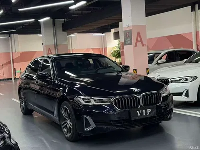 2021 BMW 5 Series 530Li Leading Luxury Package, фото 2, лот 11073619