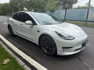 2020 Tesla Model 3 Standard Range Rear-Wheel Drive Upgrade, фото 3, лот 10461573