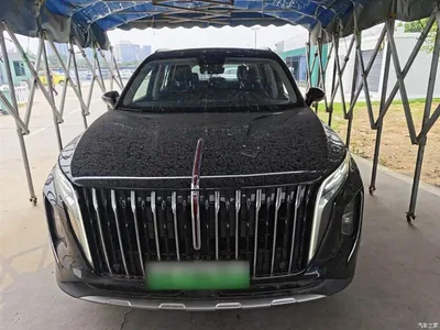 2024 Hongqi HS7 PHEV 2.0T PHEV AWD Qichang Edition 7-seater, фото 3, лот 10289746
